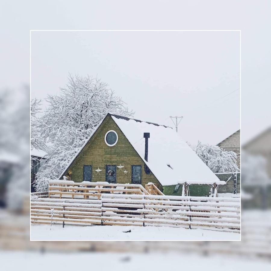 Wooden Cottage "Green House" In Бакуриани Экстерьер фото
